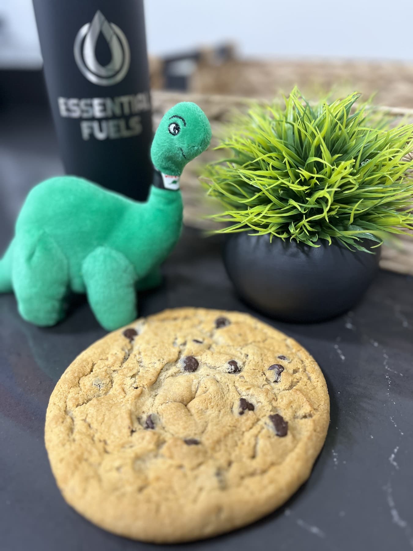 Fresh from the Kitchen
